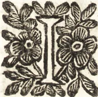 Picture 28 of 67 from Le finezze de pennelli italiani, ammirate e studiate da Girupeno sotta la scorta e disciplina del genio di Raffaello d'Vrbino : con vna curiosa ed' attentissima osseruatione di tutto ciò che facilmente possa riuscire d'vtile e di diletto à chi desidera rendersi perfetto nella teorica e practica della nobil'arte della pittura (1674), leaf 66