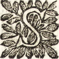 An illustration from Le finezze de pennelli italiani, ammirate e studiate da Girupeno sotta la scorta e disciplina del genio di Raffaello d'Vrbino : con vna curiosa ed' attentissima osseruatione di tutto ciò che facilmente possa riuscire d'vtile e di diletto à chi desidera rendersi perfetto nella teorica e practica della nobil'arte della pittura (1674)