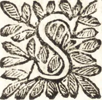 Picture 33 of 67 from Le finezze de pennelli italiani, ammirate e studiate da Girupeno sotta la scorta e disciplina del genio di Raffaello d'Vrbino : con vna curiosa ed' attentissima osseruatione di tutto ciò che facilmente possa riuscire d'vtile e di diletto à chi desidera rendersi perfetto nella teorica e practica della nobil'arte della pittura (1674), leaf 89