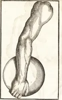 An illustration from Hieronymi Mercurialis Foroliviensis De arte gymnastica libri sex : in quibus exercitationum omnium vetustarum genera, loca, modi, facultates, & quidquid denique ad corporis humani exercitationes pertinet diligenter explicatur (1672)