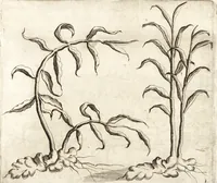 Picture 26 of 57 from Histoire naturelle et morale des iles Antilles de l'Amerique : enrichie de plusieurs belles figures des raretez les plus considerables qui y sont d'écrites : avec un vocabulaire caraibe (1658), leaf 118
