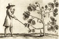 Picture 29 of 57 from Histoire naturelle et morale des iles Antilles de l'Amerique : enrichie de plusieurs belles figures des raretez les plus considerables qui y sont d'écrites : avec un vocabulaire caraibe (1658), leaf 130