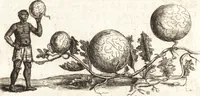 Picture 30 of 57 from Histoire naturelle et morale des iles Antilles de l'Amerique : enrichie de plusieurs belles figures des raretez les plus considerables qui y sont d'écrites : avec un vocabulaire caraibe (1658), leaf 135