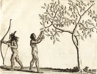 Picture 10 of 57 from Histoire naturelle et morale des iles Antilles de l'Amerique : enrichie de plusieurs belles figures des raretez les plus considerables qui y sont d'écrites : avec un vocabulaire caraibe (1658), leaf 76
