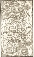 Picture 8 of 19 from Historia navigationis in Brasiliam quae et America dicitvr : qua describitvr avthoris navigatio, quaeque in mari vidit memoriae prodenda, Villagagnonis in America gesta : Brasiliensium victus & mores, à nostris admodum alieni, cum eorum linguae dialogo : animalia etiam, arbores atque herbae, reliquaque singularia & nobis penitus incognita (1594), leaf 245