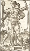 An illustration from Historia navigationis in Brasiliam quae et America dicitvr : qua describitvr avthoris navigatio, quaeque in mari vidit memoriae prodenda, Villagagnonis in America gesta : Brasiliensium victus & mores, à nostris admodum alieni, cum eorum linguae dialogo : animalia etiam, arbores atque herbae, reliquaque singularia & nobis penitus incognita (1594)