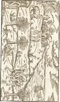 Picture 10 of 19 from Historia navigationis in Brasiliam quae et America dicitvr : qua describitvr avthoris navigatio, quaeque in mari vidit memoriae prodenda, Villagagnonis in America gesta : Brasiliensium victus & mores, à nostris admodum alieni, cum eorum linguae dialogo : animalia etiam, arbores atque herbae, reliquaque singularia & nobis penitus incognita (1594), leaf 284