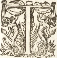An illustration from Historia navigationis in Brasiliam quae et America dicitvr : qua describitvr avthoris navigatio, quaeque in mari vidit memoriae prodenda, Villagagnonis in America gesta : Brasiliensium victus & mores, à nostris admodum alieni, cum eorum linguae dialogo : animalia etiam, arbores atque herbae, reliquaque singularia & nobis penitus incognita (1594)