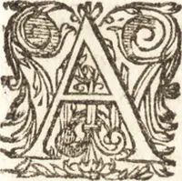 Picture 18 of 19 from Historia navigationis in Brasiliam quae et America dicitvr : qua describitvr avthoris navigatio, quaeque in mari vidit memoriae prodenda, Villagagnonis in America gesta : Brasiliensium victus & mores, à nostris admodum alieni, cum eorum linguae dialogo : animalia etiam, arbores atque herbae, reliquaque singularia & nobis penitus incognita (1594), leaf 438