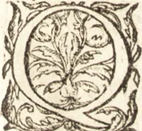 Picture 19 of 19 from Historia navigationis in Brasiliam quae et America dicitvr : qua describitvr avthoris navigatio, quaeque in mari vidit memoriae prodenda, Villagagnonis in America gesta : Brasiliensium victus & mores, à nostris admodum alieni, cum eorum linguae dialogo : animalia etiam, arbores atque herbae, reliquaque singularia & nobis penitus incognita (1594), leaf 532