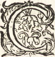An illustration from Ian vander Veens Zinne-beelden, oft, Adams appel : verciert met seer aerdige const-plaeten : mitsgaders syne oude ende nieuwe ongemeene Bruydt-lofs, ende Zege-zangen (1642)
