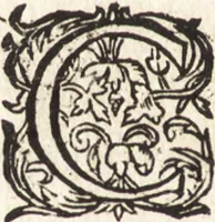 An illustration from Ian vander Veens Zinne-beelden, oft, Adams appel : verciert met seer aerdige const-plaeten : mitsgaders syne oude ende nieuwe ongemeene Bruydt-lofs, ende Zege-zangen (1642)