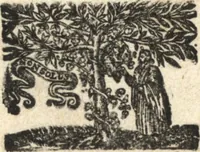 An illustration from Bibliotheca Heinsiana, sive, Catalogus librorum, quos magno studio & sumptu dum viveret, collegit vir illustris Nicolaus Heinsius, Dan. fil. : in duas partes divisus (1682)