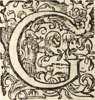Picture 50 of 215 from Icones qvinqvaginta virorvm illustrium, doctrina & eruditione praestantium (1597), leaf 140