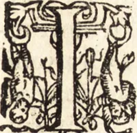 An illustration from Icones qvinqvaginta virorvm illustrium, doctrina & eruditione praestantium (1597)