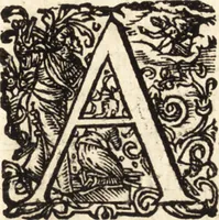 An illustration from Icones qvinqvaginta virorvm illustrium, doctrina & eruditione praestantium (1597)