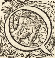 An illustration from Icones qvinqvaginta virorvm illustrium, doctrina & eruditione praestantium (1597)