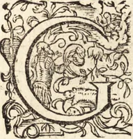 Picture 132 of 192 from Icones qvinqvaginta virorvm illustrium, doctrina & eruditione praestantium (1597), leaf 460
