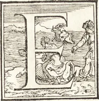 An illustration from Le imagini delle donne avgvste intagliate in istampa di rame : con le vite, et ispositioni di Enea Vico : sopra i riversi delle loro medaglie antiche (1557)