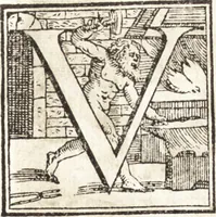 An illustration from Le imagini delle donne avgvste intagliate in istampa di rame : con le vite, et ispositioni di Enea Vico : sopra i riversi delle loro medaglie antiche (1557)