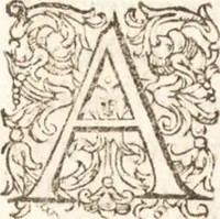 An illustration from Iordanvs Brvnvs nolanvs De vmbris idearvm : implicantibus artem quaerendi, inueniendi, iudicandi, ordinandi, & applicandi : ad internam scripturam, & non vulgares per memoriam operationes explicatis (1582)