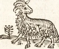An illustration from Iordanvs Brvnvs nolanvs De vmbris idearvm : implicantibus artem quaerendi, inueniendi, iudicandi, ordinandi, & applicandi : ad internam scripturam, & non vulgares per memoriam operationes explicatis (1582)