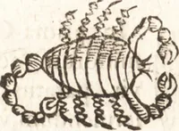 Picture 20 of 43 from Iordanvs Brvnvs nolanvs De vmbris idearvm : implicantibus artem quaerendi, inueniendi, iudicandi, ordinandi, & applicandi : ad internam scripturam, & non vulgares per memoriam operationes explicatis (1582), leaf 187