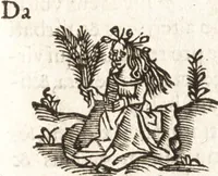 An illustration from Iordanvs Brvnvs nolanvs De vmbris idearvm : implicantibus artem quaerendi, inueniendi, iudicandi, ordinandi, & applicandi : ad internam scripturam, & non vulgares per memoriam operationes explicatis (1582)
