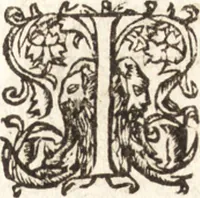 An illustration from Iordanvs Brvnvs nolanvs De vmbris idearvm : implicantibus artem quaerendi, inueniendi, iudicandi, ordinandi, & applicandi : ad internam scripturam, & non vulgares per memoriam operationes explicatis (1582)