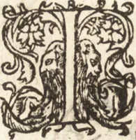 An illustration from Iordanvs Brvnvs nolanvs De vmbris idearvm : implicantibus artem quaerendi, inueniendi, iudicandi, ordinandi, & applicandi : ad internam scripturam, & non vulgares per memoriam operationes explicatis (1582)