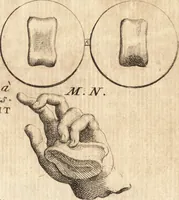 An illustration from La istoria universale : provata con monumenti, e figurata con simboli de gli antichi (1697)