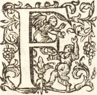 An illustration from Ivsti LipsI Diva Sichemiensis, siue, Aspricollis : noua eius beneficia & admiranda (1606)