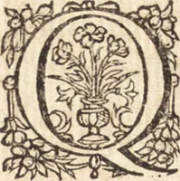 Picture 65 of 66 from Ivsti LipsI Poliorceticon, siue, De machinis, tormentis, telis, libri qvinqve : ad historiarum lucem (1605), leaf 255