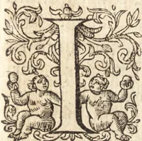 Picture 21 of 66 from Ivsti LipsI Poliorceticon, siue, De machinis, tormentis, telis, libri qvinqve : ad historiarum lucem (1605), leaf 52