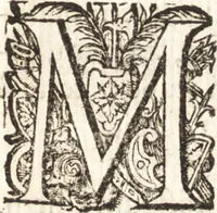 An illustration from Ivsti LipsI Satvrnalivm sermonvm libri dvo, qvi de gladiatoribvs (1604)