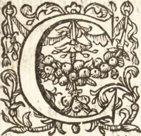 Picture 4 of 23 from Ivsti LipsI de vesta et vestalibvs syntagma (1609), leaf 10