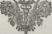 Picture 91 of 94 from Joachimi de Sandrart, à Stockau ... Academia nobilissimae artis pictoriae, sive, De veris & genuinis hujusdem proprietatibus, theorematibus, secretis atque requisitis aliis ... : unà cum artificum tam Aegyptiorum, Graecorum & Romanorum, quàm Italorum, Gallorum, Anglorum, Germanorum, Belgarum, aliorumq[ue] ... vitis atque encomiis ... : eorundemque plusquàm ducentis iconibus ... aere expressis, erecta atq[ue] publicata (1683), leaf 528