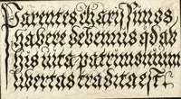 An illustration from Libellus valde doctus elegans, & vtilis, multa et varia scribendarum literarum genera complectens (1564)