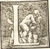 An illustration from Libri qvattro dell'antichita della citta di Roma : raccolte sotto brevita da diversi antichi et moderni scrittori (1565)