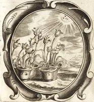 An illustration from Lucis euangelicae sub velum sacrorum emblematum reconditae, pars tertia : hoc est, caeleste pantheon, sive caelum novum in festa et gesta sanctorum totius anni, selectâ historiâ, & morali doctrinâ (1659)