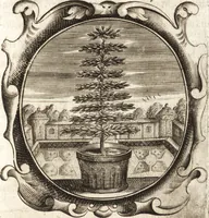 An illustration from Lucis euangelicae sub velum sacrorum emblematum reconditae, pars tertia : hoc est, caeleste pantheon, sive caelum novum in festa et gesta sanctorum totius anni, selectâ historiâ, & morali doctrinâ (1659)