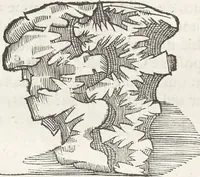 An illustration from Museum Wormianum, seu, Historia rerum rariorum : tam naturalium, quam artificialium, tam domesticarum, quam exoticarum, quae Hafniae Danorum in aedibus authoris servantur (1655)