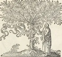 An illustration from Museum Wormianum, seu, Historia rerum rariorum : tam naturalium, quam artificialium, tam domesticarum, quam exoticarum, quae Hafniae Danorum in aedibus authoris servantur (1655)