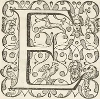 An illustration from Museum Wormianum, seu, Historia rerum rariorum : tam naturalium, quam artificialium, tam domesticarum, quam exoticarum, quae Hafniae Danorum in aedibus authoris servantur (1655)