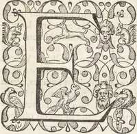 An illustration from Museum Wormianum, seu, Historia rerum rariorum : tam naturalium, quam artificialium, tam domesticarum, quam exoticarum, quae Hafniae Danorum in aedibus authoris servantur (1655)