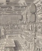 An illustration from Museum Wormianum, seu, Historia rerum rariorum : tam naturalium, quam artificialium, tam domesticarum, quam exoticarum, quae Hafniae Danorum in aedibus authoris servantur (1655)