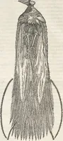 An illustration from Museum Wormianum, seu, Historia rerum rariorum : tam naturalium, quam artificialium, tam domesticarum, quam exoticarum, quae Hafniae Danorum in aedibus authoris servantur (1655)