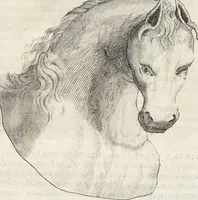 An illustration from Museum Wormianum, seu, Historia rerum rariorum : tam naturalium, quam artificialium, tam domesticarum, quam exoticarum, quae Hafniae Danorum in aedibus authoris servantur (1655)