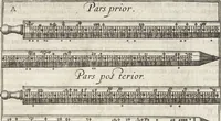 An illustration from Museum Wormianum, seu, Historia rerum rariorum : tam naturalium, quam artificialium, tam domesticarum, quam exoticarum, quae Hafniae Danorum in aedibus authoris servantur (1655)