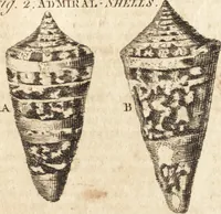 Picture 16 of 153 from A new and complete dictionary of arts and sciences : comprehending all the branches of useful knowledge, with accurate descriptions as well of the various machines, instruments, tools, figures, and schemes necessary for illustrating them, as of the classes, kinds, preparations, and uses of natural productions, whether animals, vegetables, minerals, fossils, or fluids : together with the kingdoms, provinces, cities, towns, and other remarkable places throughout the world : illustrated with above three hundred copper-plates, engraved by Mr. Jefferys, geographer to His Majesty : the whole extracted from the best authors in all languages (1763), leaf 104